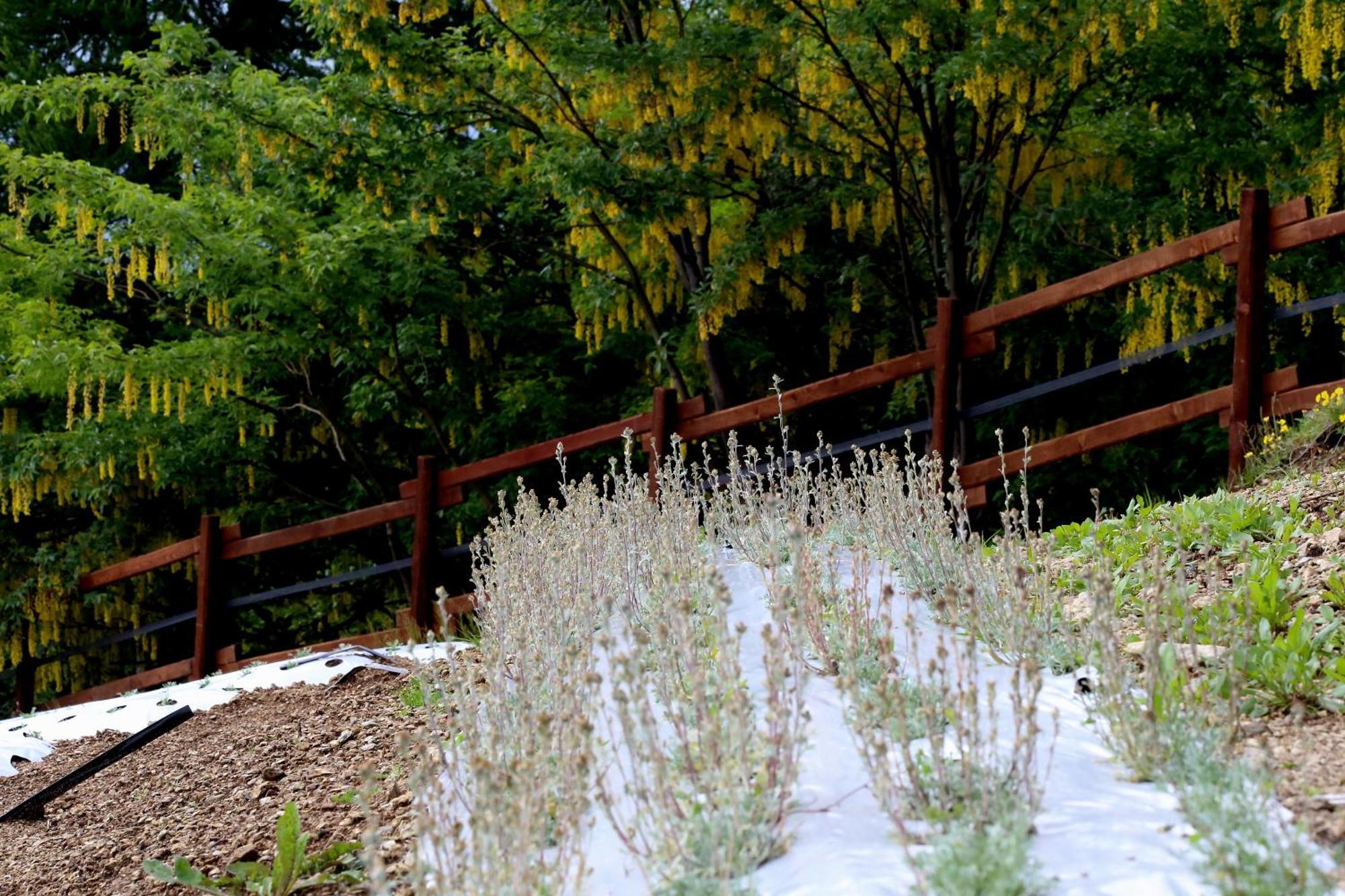 Agriturismo A Nostro Mizoun Ostana Extérieur photo